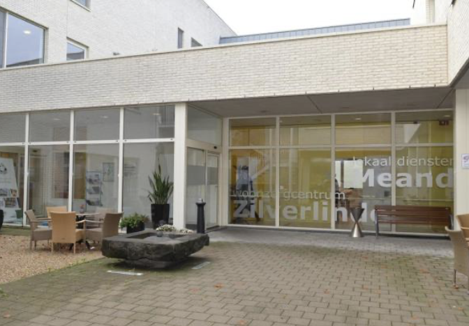 Zilverlinde — photo 4